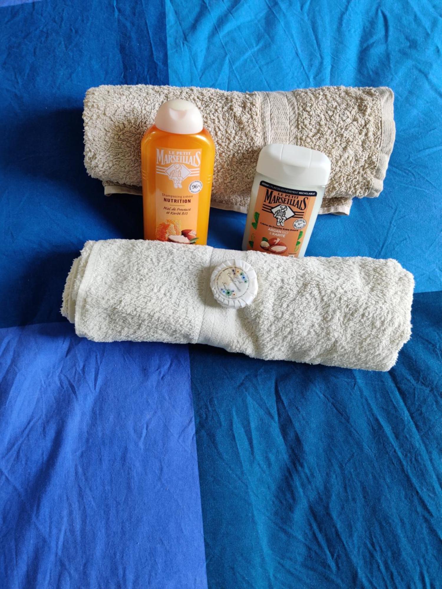 Petit Nid En Alsace Studio Independant Avec Salle De Douche Privative Buschwiller Ngoại thất bức ảnh